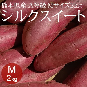 [2022年収穫] 熊本県産シルクスイート Mx2kg(約10本) A等級 [生いも 使いやすい量 焼き芋 野菜便 常温便 送料無料]