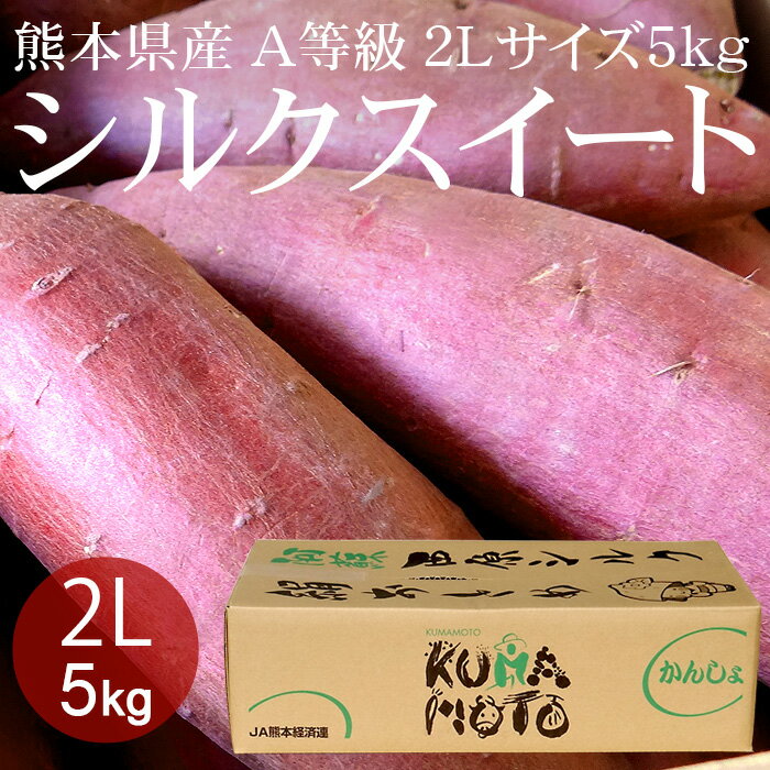 熊本県産シルクスイート 2L×5kg(約12本) A等級 [貯蔵品 生いも 焼き芋 野菜便 常温便 送料無料]