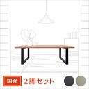岐阜鉄の匠 【国産/日本製】 テーブル用アイアン脚 (鉄脚・スチール脚) ロータイプ・スクエア・長方形 天板奥行き70〜100センチ用 ツヤ消しブラック/プラチ...