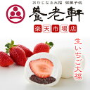 【公式】養老軒 生いちご大福 (6個/10個) 大粒 まるごと フルーツ大福 スイーツ 和スイーツ 和菓子 詰め合わせ お取り寄せ ギフト プレゼント 手土産 ...