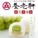 【公式】養老軒 シャインマスカット大福 (6個/10個) スイーツ 和スイーツ フルーツ大福 詰め合わせ お取り寄せ ギフト プレゼント 手土産 高級 個包装 内祝い 出産祝い 結婚祝い 冷蔵 送料無料 届日指定 ヤマト運輸 クール冷蔵便
