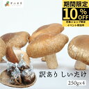 【先行予約】《10月中旬以降発送予定》《ご家庭用》しいたけ 250g×4 計1kg 個包装 なかだファーム 訳あり 家庭用 椎茸 シイタケ 訳アリ わけあり 菌床 栽培 不揃い キノコ きのこ 茸 料理 国産 飛騨高山 農家直送 送料無料