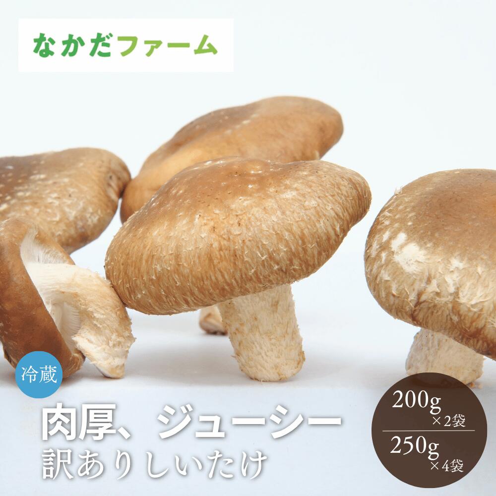 ≪ 予約販売中 ≫ ご家庭用 しいたけ 肉厚 200g×2 400g 250g×4 計1kg 個包装 なかだ...