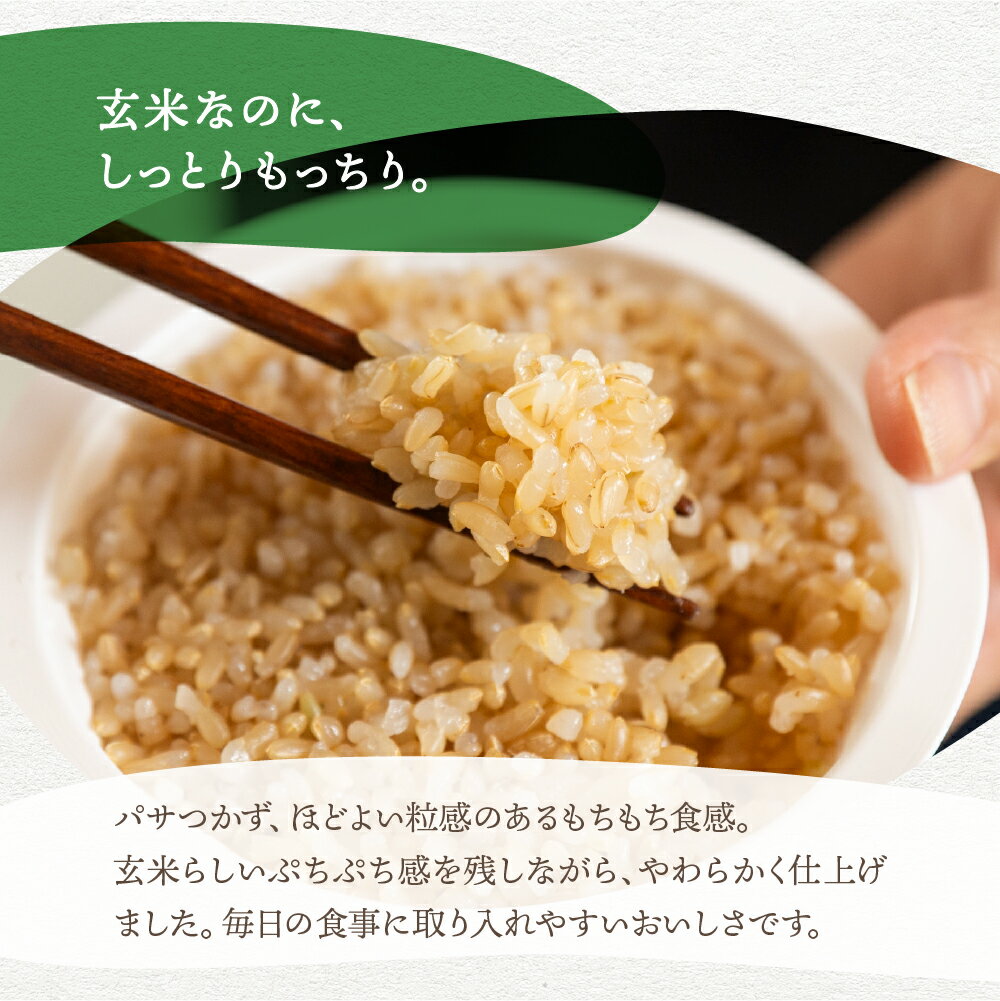 �����ͽ��ۡ�2026ǯ2�����ʹ�ȯ��ͽ��ո��ƥѥå����Ϥ� 150g 12�ѥå� �ѥå����� 12�� ��ȥ�Ȥ��� �ѥå����Ϥ� �ѥå��饤�� ������ ���� �� ���� �ҤȤ���餷 �����餷 ñ����Ǥ ��￩ �ɺ� ������ ���� ���� ���� �ޤ������ ����ľ�� ����ľ�� ����̵�� ����