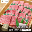 【選べる内容量】5等級 飛騨牛ロース焼肉 焼き肉 300g 500g 1kg BBQ 国産牛 国産 飛騨高山 牛肉 肉 厳選 熟成 贈答用 お歳暮 高級肉 肉の...