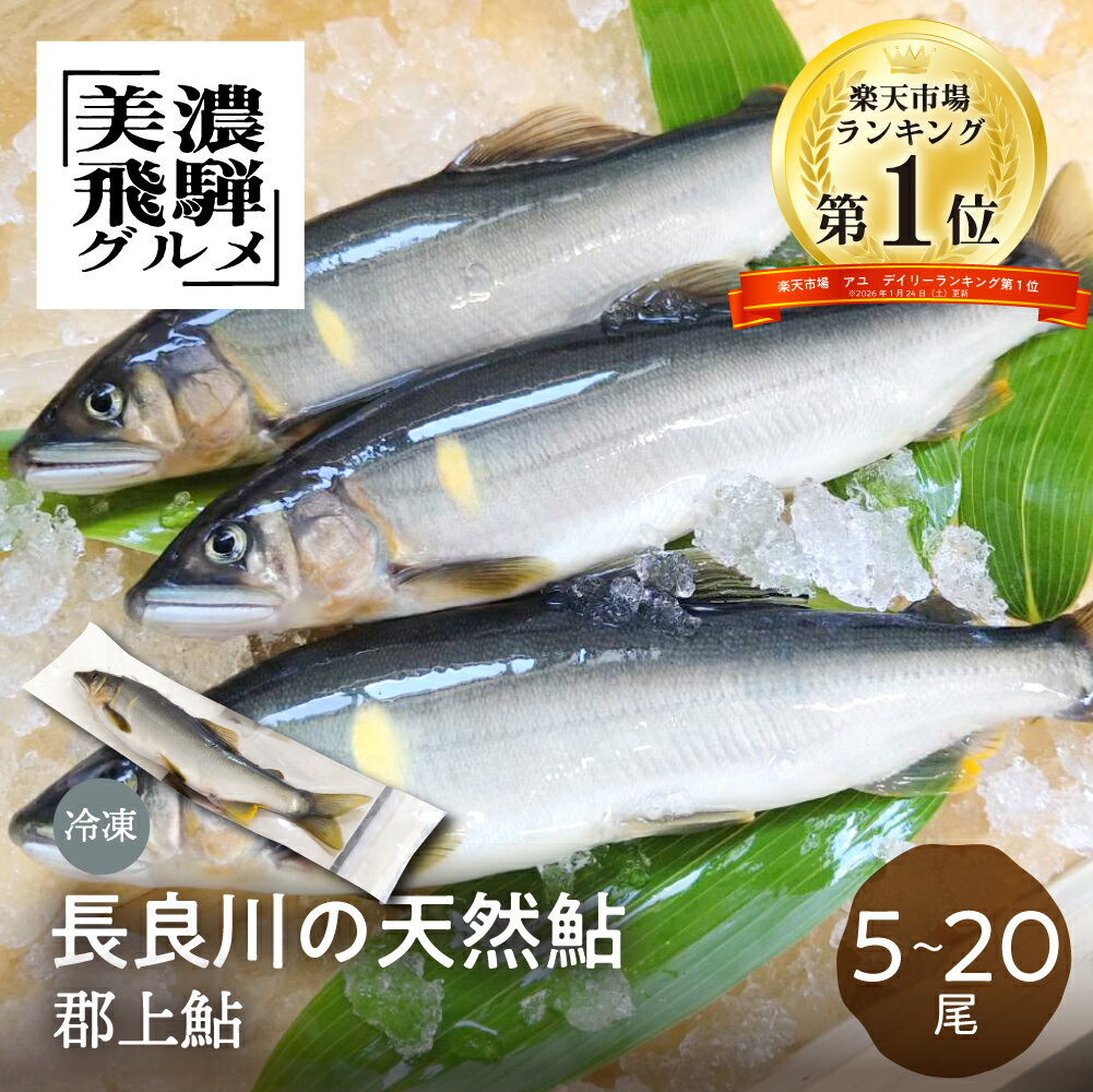 《楽天スーパーSALE 10%OFF》＼アユランキング1位／【尾数が選べる】 郡上鮎 長良川の天然鮎 5尾 10尾 15尾 20尾 鮎 天然 冷凍 お取り寄せ あゆ 魚 川魚 岐阜県 塩焼き BBQ バーベキュー キャンプ 世界遺産 世界農業遺産 美濃飛騨グルメ 岐阜 産地直送 送料無料 ぎふまる