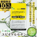 ユビオケルセチン 60日分 20日分 サプリ サプリメント 健康商品 機能性表示食品 飛騨市 ケルセチン ダイエット ダイエットサポート 活力 中高年 父の日