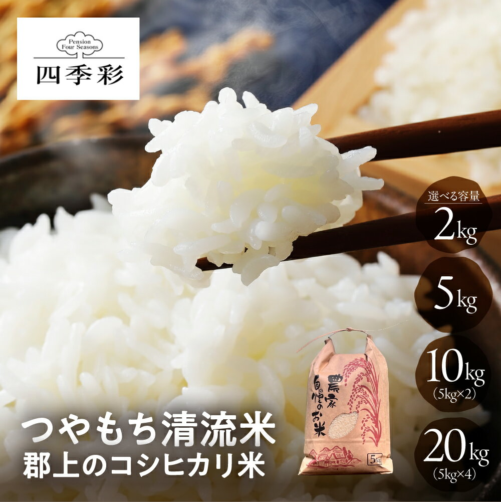 令和7年産 コシヒカリ 郡上のコシヒカリ米 2kg 5kg10kg 20kg こしひかり 米 こめ コメ 送料無料 農家直送 2キロ 5キロ 10キロ 20キロ まとめ買い お米 岐阜県 郡上 生活応援 単一原料米 リゾートペンション四季彩 産地直送 直送 米10キロ送料無料 農家 直販サイト ぎふまる