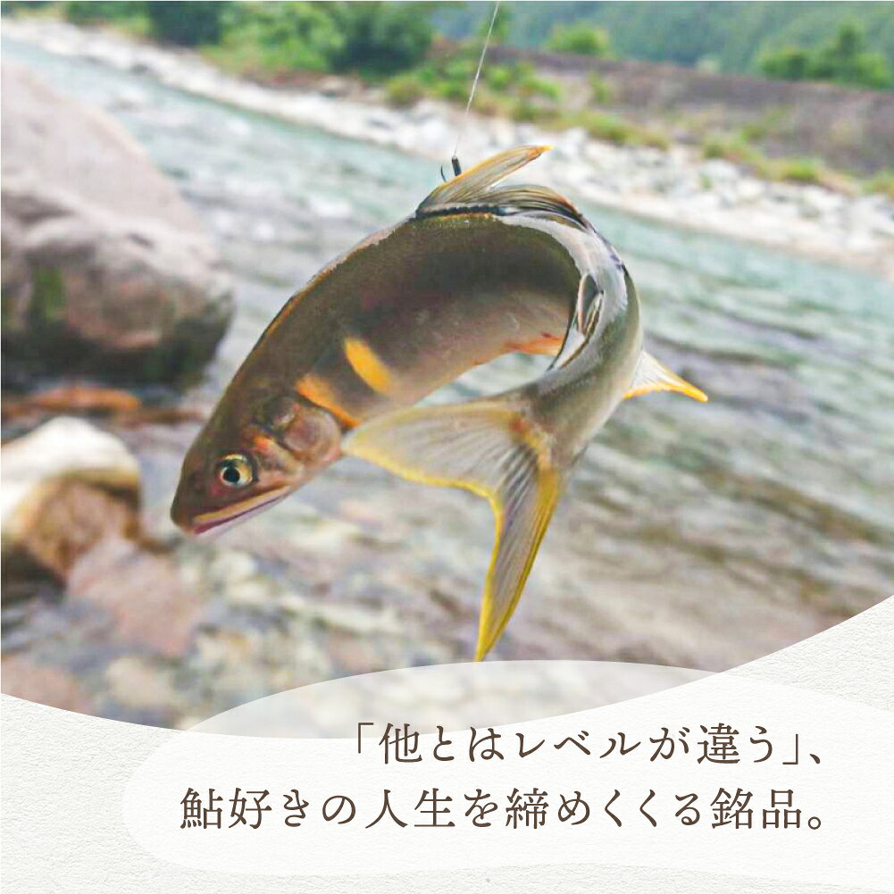＼第24回清流めぐり利き鮎会グランプリ／《7月初旬〜8月末発送予定》馬瀬川上流鮎 ...