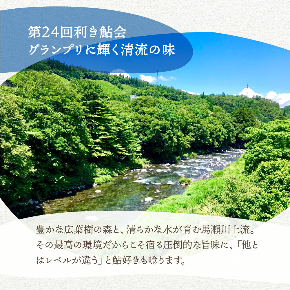＼第24回清流めぐり利き鮎会グランプリ／《7月初旬〜8月末発送予定》馬瀬川上流鮎 ...