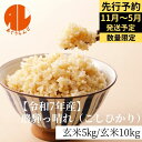 【数量限定/先行予約】《11月〜5月順次発送予定》令和7年産 こしひかり 《玄米》 飛騨っ晴れ 5kg 10kg アグリランド 金賞受賞農家 飛騨の米 米 こめ...