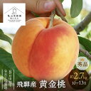 【先行予約】《8月中旬〜9月上旬発送予定》飛騨産黄金桃 秀品 約2.7kg 10-13玉 令和7年産 2025年産 桃 黄桃 フルーツ 飛騨 飛騨高山 久々野 ...