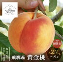 【先行予約】《8月中旬〜9月上旬発送予定》飛騨産黄金桃 贈答用 約2.7kg 7-9玉 令和7年産 2025年産 桃 黄桃 フルーツ 飛騨 飛騨高山 久々野 大...