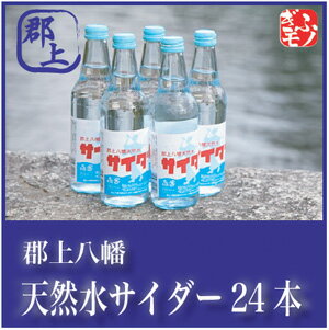 高橋尚子杯ぎふ清流マラソンでも話題に！郡上八幡天然水サイダー24本入