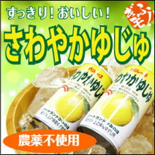 安全！安心！★さわやかゆじゅ★上之保ゆず(農薬不使用)で作ったハチミツ入りゆず飲料(缶入り190g×30本) 国産柚子果汁使用