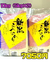 【令和5年産】【精白