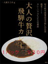 大人の贅沢飛騨牛カレー　〜CoCo壱番屋×県岐商〜（1個）