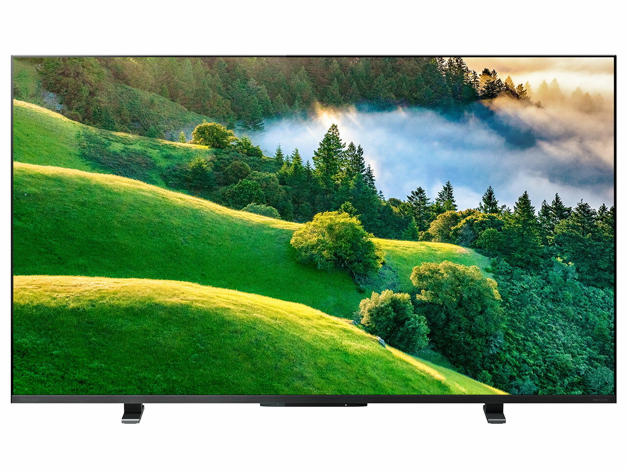 TOSHIBA（東芝） REGZA 50M550L 4K液晶テレビ レグザ M550Lシリーズ 50V型