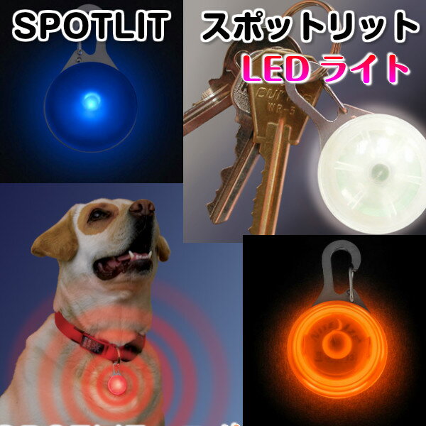 【送料無料(メール便)】【ポイント2倍】スポットリット SPOTLIT SLG-06-02 NiteIze【ライト LED フラッシュライト マイクロライト ハンディライト 散歩 ペット 自転車 ラインニング ウォーキング ナイトアイズ アウトドア】通販格安セール情報 楽天 通販