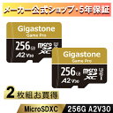 赤字覚悟！【Nintendo Switch/GoPro確認済】【安心保証5年】Gigastone マイクロSDカード 256GB 2枚セット SDXC 超高速100MB/s A2 V30 Ultra HD 4K ビデオ録画 アクションカメラ スポーツカメラ 高速4Kゲーム ドローン UHS-I U3 SDアダプタ付 ギガストーン