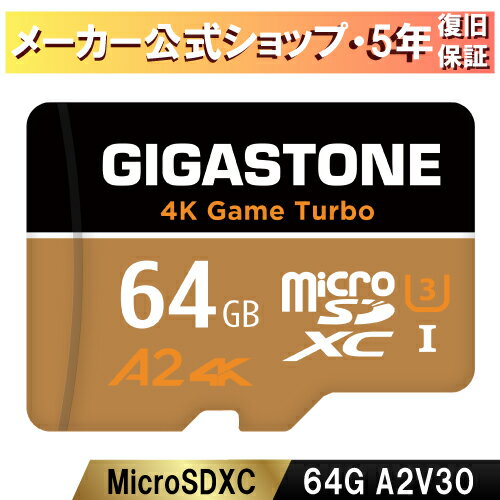 【5年データ復旧保証】 Gigastone マイ