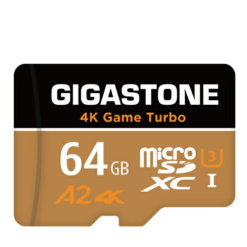 【5年データ復旧保証】 Gigastone マイ