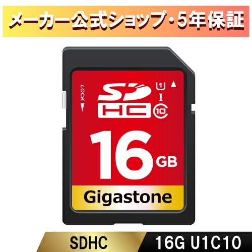 数量限定！【保証5年】Gigastone SDカ