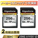【保証5年】Gigastone SDカード 256GB 2枚セット SDXC メモリーカード UHS-I U3 クラス10 ビデオカメラ sdカード 超高速 1...