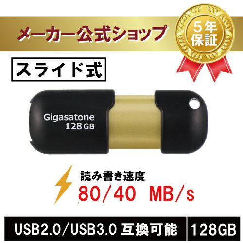 数量限定！【保証5年】Gigastone USBメ