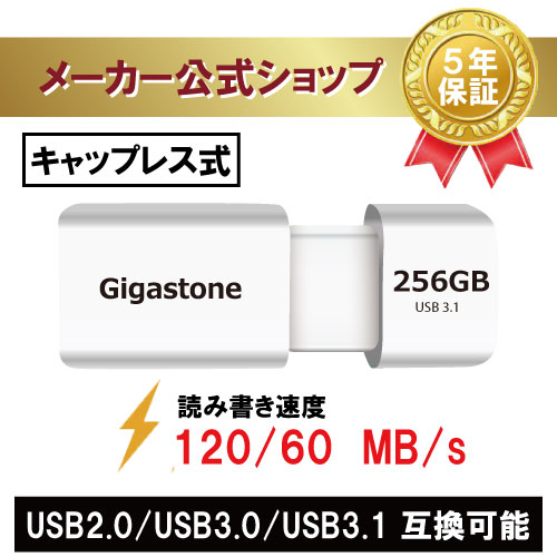 新商品発売！【保証5年】Gigastone USBメモリ 256GB USB3.1 USBメモリ USB 3.1 Gen1 高速 120/60 MB/s メモリ スティック キャップレス USB 2.0/3.0/3.1対応 超急速データ転送 アンドロイドスマホ/MacBook/Windows/パソコン対応 高い互換性 高品質NAND 送料無料