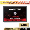 数量限定！Gigastone 内蔵SSD 1TB 2.5イン