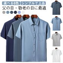 半袖 トップス カジュアル シャツ メンズ 夏用 大きサイズ 涼感 40代 50代 60代 ビジネス アイスシルクシャツ お父さん おじいちゃん 涼しい シニア服