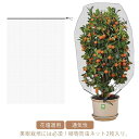 園芸 家庭菜園 農業用 虫よけネット 2個セット 防虫シート 植物保護カバー 防鳥ネット 野菜作り 防虫ネット 菜園 虫ネット 野菜 通気性 花壇適用 苗 畑 ...