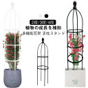 庭 簡易組立式 植物サポート 高さ調節可能 トレリス 2段/3段/4段 金属製 ガーデニング バラ 2段/3段/4段 つる花 支柱 花支え 花 園芸用品 バラ用 つる性植物 ガーデン 操作簡単 誘引 薔薇 オベリスクアーチ プランター おしゃれ 植木鉢 庭
