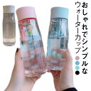 クリアボトル ミニ マグボトル 水筒 ダイレクトボトル ダイレクトボトル 直飲み プラスチック プラボトル 550ml 650ml 男の子 女の子 大人 子供 プチウォーターボトル