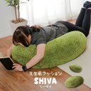 芝生風クッション シーヴァ 背当て リビング おしゃれ クッション 枕 フロアクッション ソファ 座布団 オールシーズン ごろ寝 お昼寝(3)