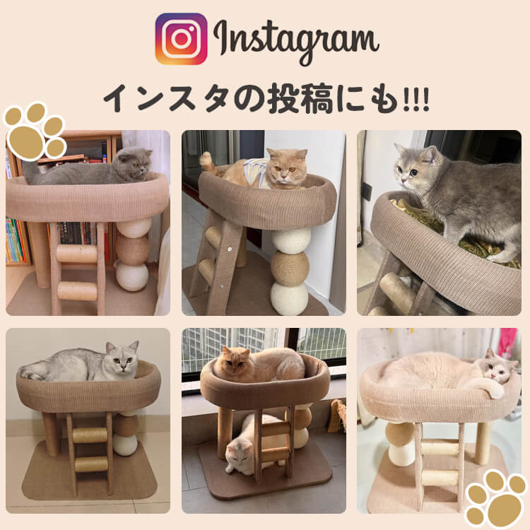 GIIPET キャットタワー 小型 猫タワー 爪とぎ 多頭飼い 据え置き 木製 麻紐 安定性抜群 ステップ台 大型猫対応 麻布ベッド/凉席 選べる 省スペース 組立簡単 58.5×39.5×47cm 3