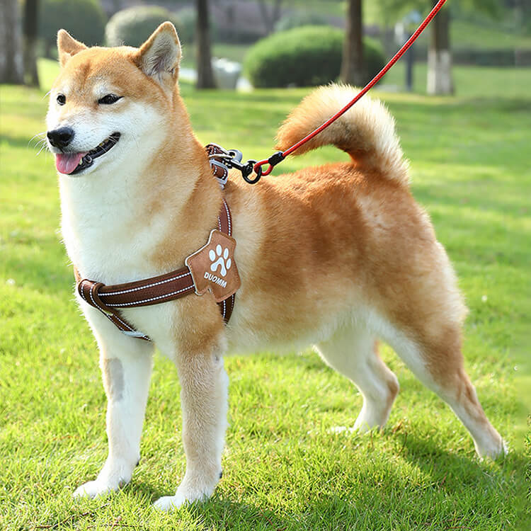 Rakuten - GIIPET 犬 ハーネス リード セット 中型犬 大型犬 胴輪 ベスト型 負担が少ない 気管に優しい 引っ張り防止 抜けにくい 反射 メッシュ 通気性 丈夫 1.5mリード付き サイドフック 小物掛け 散歩 お出かけ
