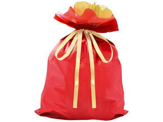 ギフトバッグ レッド LLサイズ 1枚 幅45×高さ56cm マチ有り 絞り口までの高さ42cm GiftWrapping
