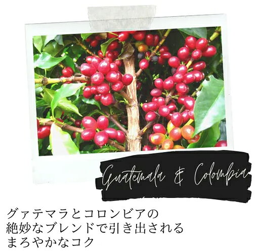 UCC ユーシーシー DPGC002　DRIP POD グァテマラ＆コロンビア 12杯 【沖縄・九州地方・北海道・その他の離島は配送できません】 gimmick-10801364 GIMMICK サンプル画像3