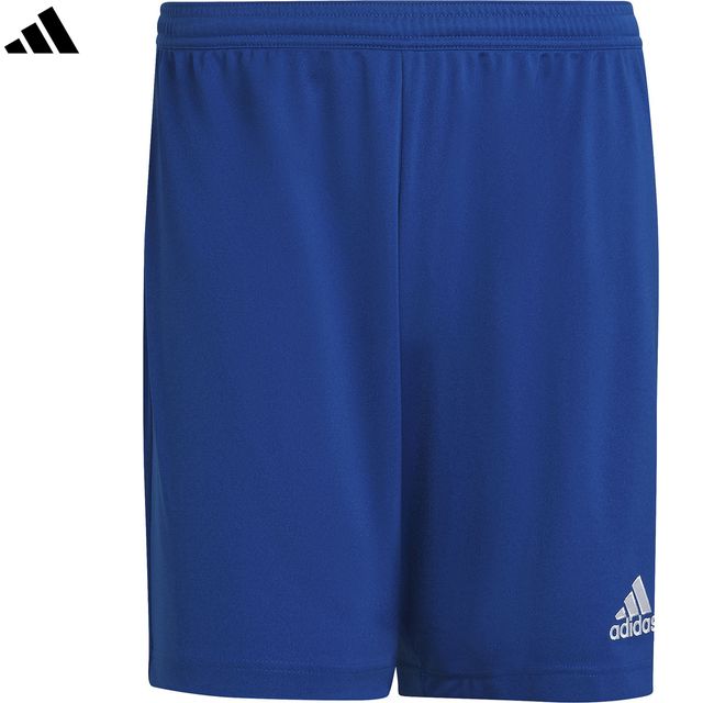 adidas ǥ ڥ󥺡Entrada 22 硼 TG216 AEROREADY ڥ֥롼
