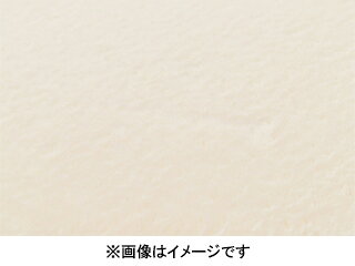 Rakuten - 萩原 ハギハラ 洗えるラグ メレンゲタッチ 約185cm 円形 アイボリー 240620527 メーカー直送 同梱不可 カード決済のみ対応 沖縄・北海道・離島お届け並びに時間指定不可