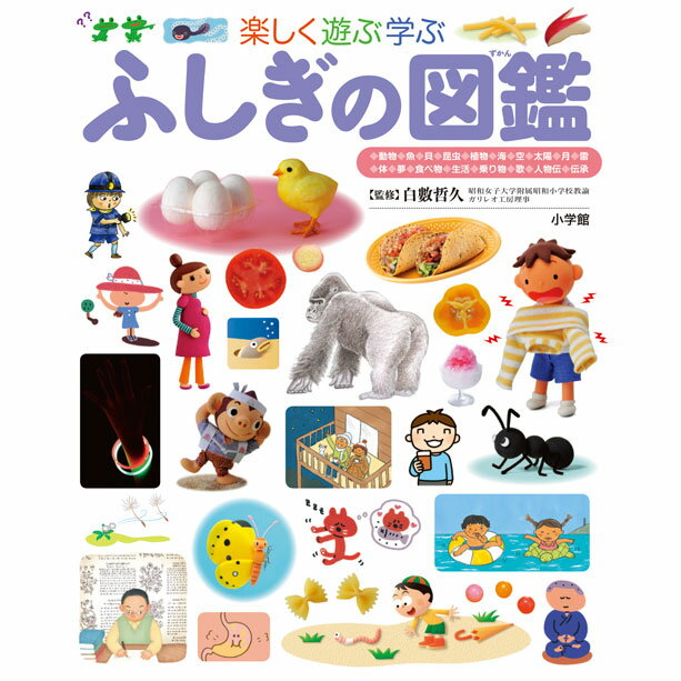 小学校入学前に 子どもに買う初めての図鑑のおすすめランキング 1ページ ｇランキング