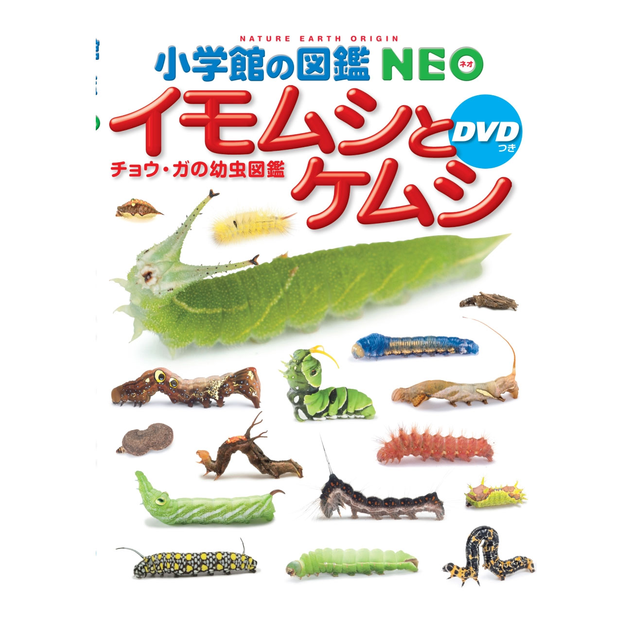 Rakuten - 小学館の図鑑 NEO DVD付 イモムシとケムシ