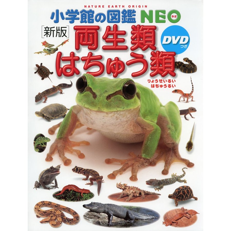 Rakuten - 小学館の図鑑 NEO DVD付 新版 両生類・はちゅう類