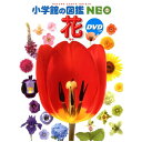 小学館 小学館の図鑑 NEO 小学館の図鑑 NEO DVD付 新版 花