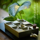 \母の日ギフトプレゼント/銀雅堂 市松庭園 花器 (本体のみ)|縁起物 苔 剣山 水盤 花瓶 一輪挿し フラワーベース 華道 枝物 おしゃれ ギフト 四季 花 ...