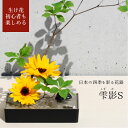 【お買い物マラソン期間ポイント10倍】\父の日ギフトプレゼント/雫影(しずか)S|銀雅堂 生け花 花器 剣山 水盤 花瓶 一輪挿し フラワーベース 華道 枝物 ...