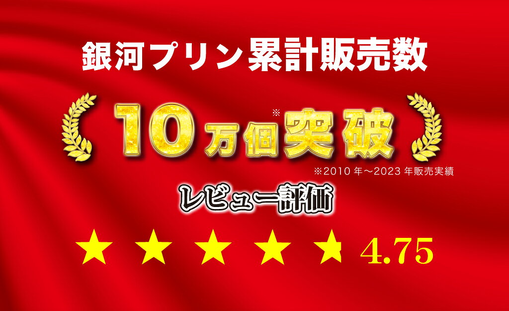 ギフト スイーツ プリン 銀河プリン9個セット お菓子 プレゼント スイーツギフト 詰め合わせ 誕生日 内祝い 誕生日プレゼント キャラメル 高級 御歳暮 入学式 卒業式 御中元 ginga-kojo-10000088 銀河工場 楽天市場店 サンプル画像3