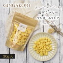 銀河クッキー 袋入り マンゴームラング メレンゲクッキー 添加物不使用 プチギフト 焼き菓子 焼菓子 クッキー 袋 かわいい おしゃれ 父の日 スイーツ プレゼント ギフト クリスマス 誕生日 手土産 退職 内祝
